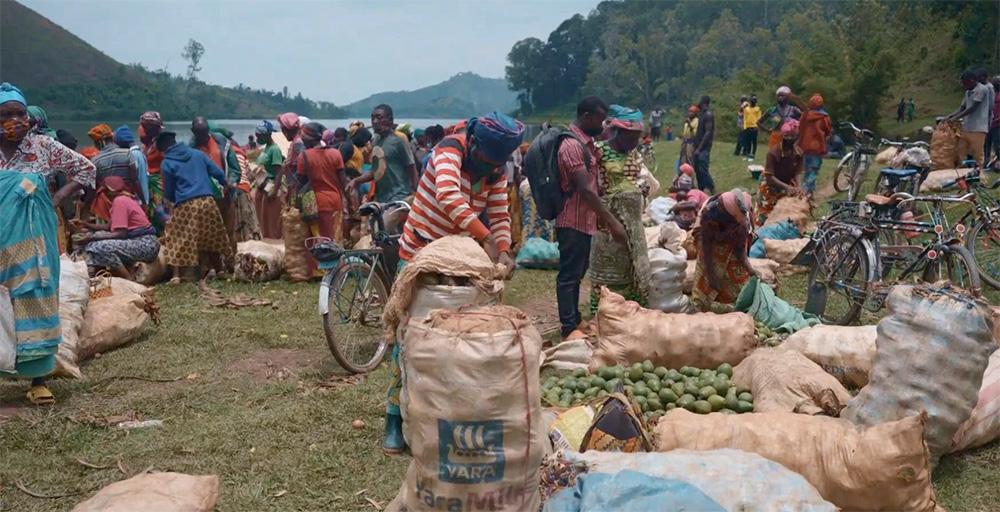 delivery made by bicycle