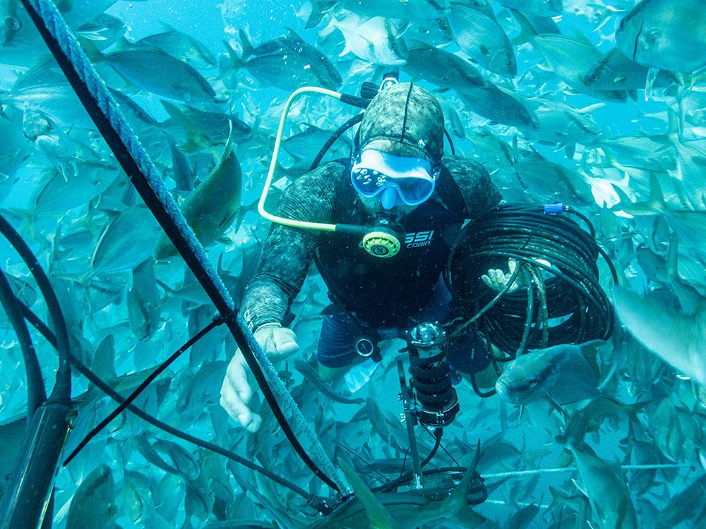 diver checking underwater equipment