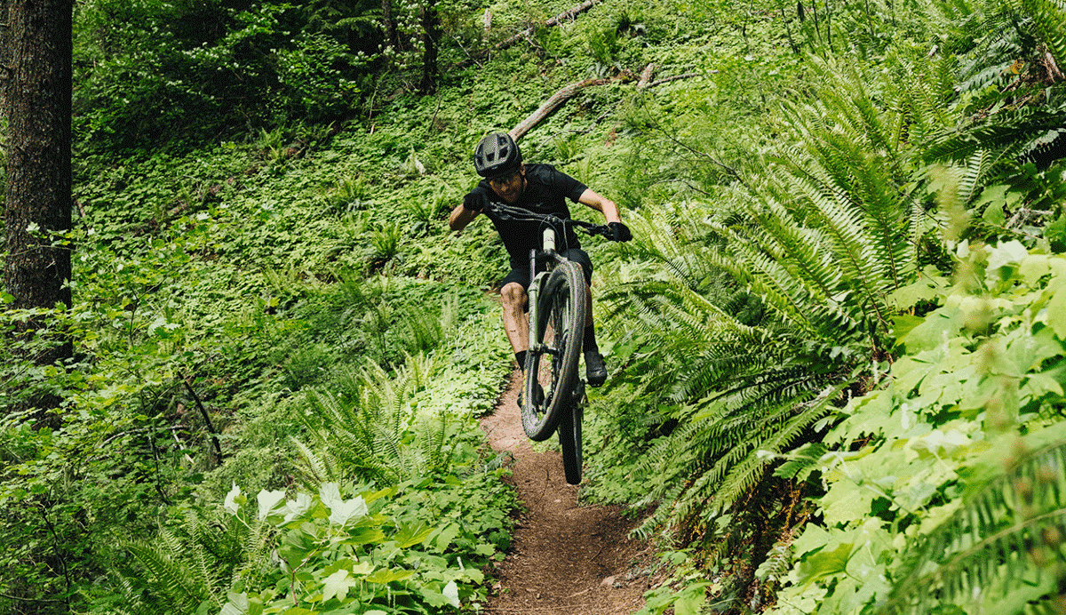 A bicyclist on a forest trail.