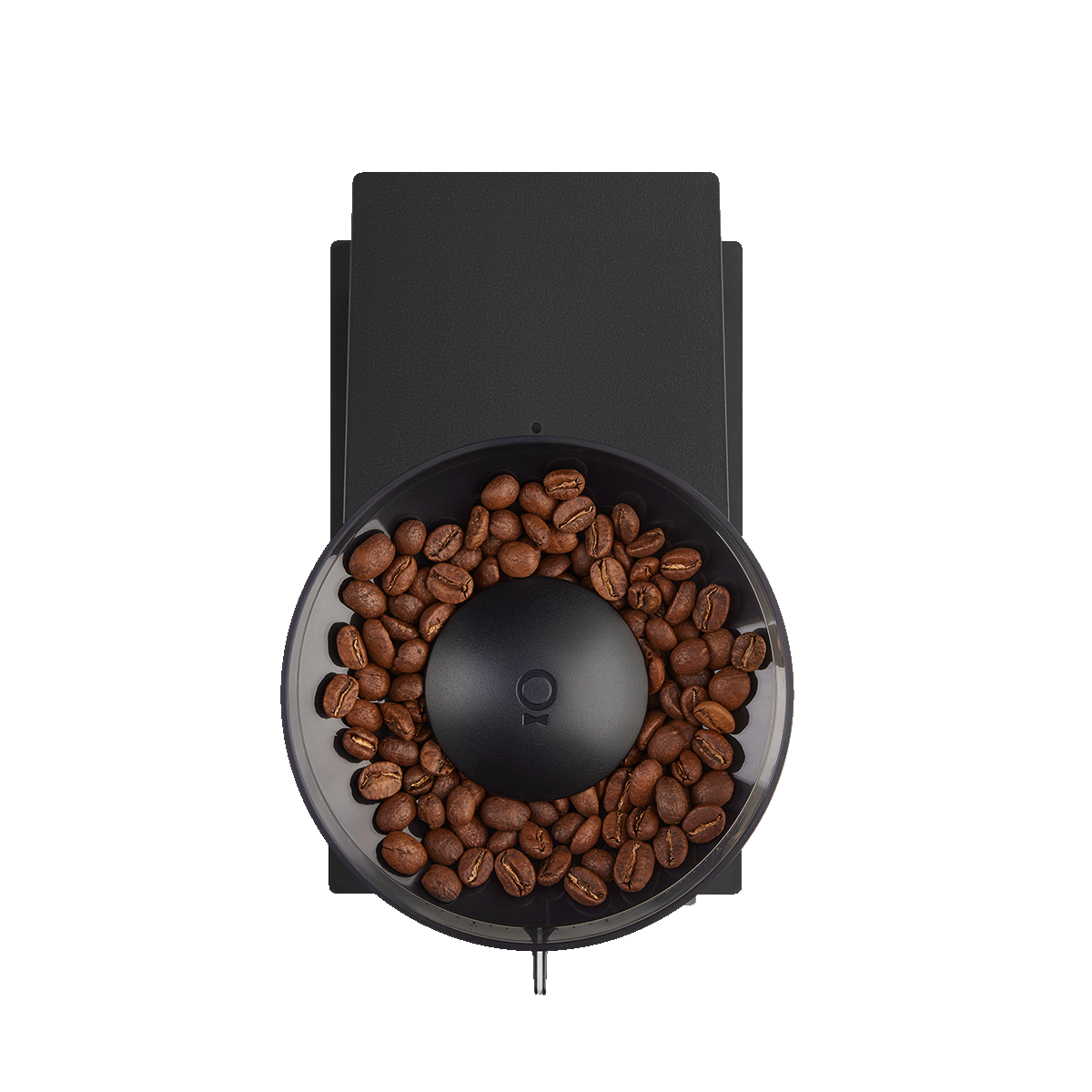 Coffee beans in a coffee grinder. Waiting.