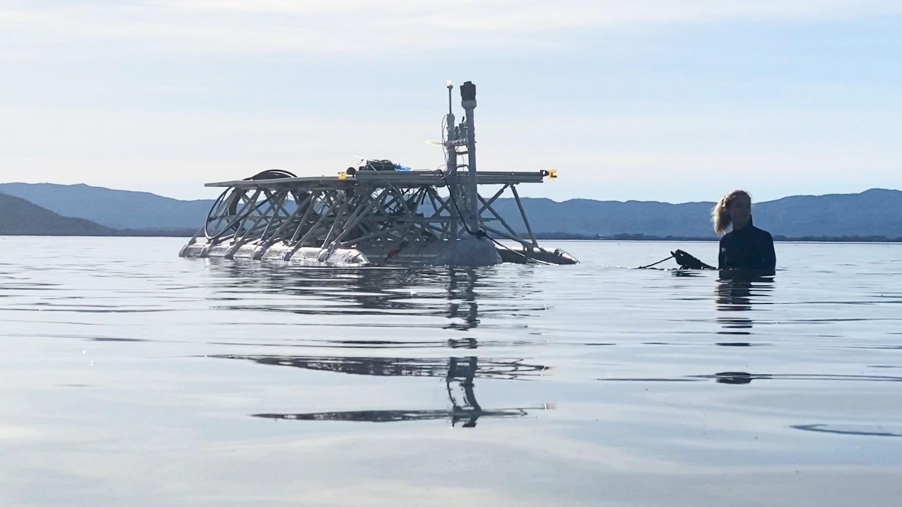 a seaweed vessel in the water