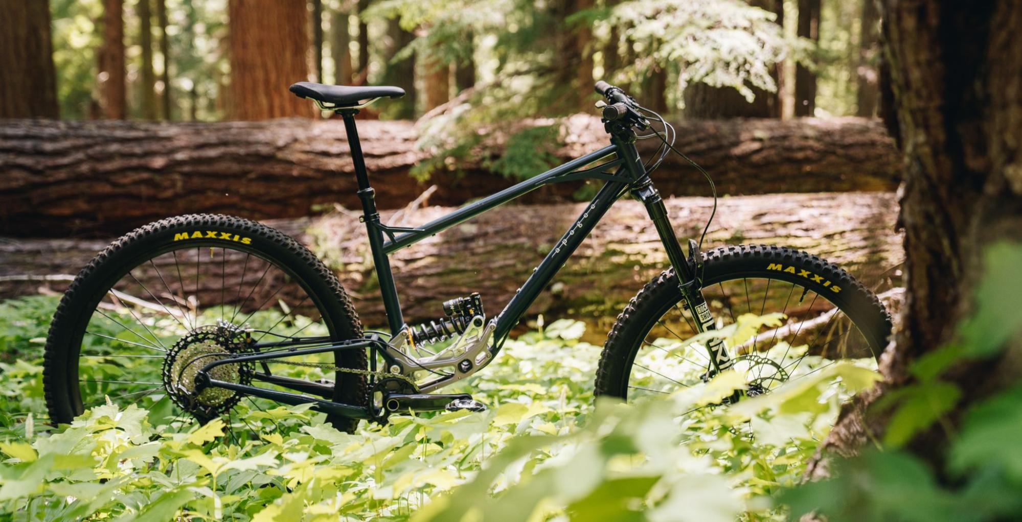 Apogee Bike in a forest setting